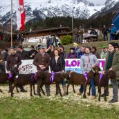 Schafausstellung Tiroler Bergschaf  (29)